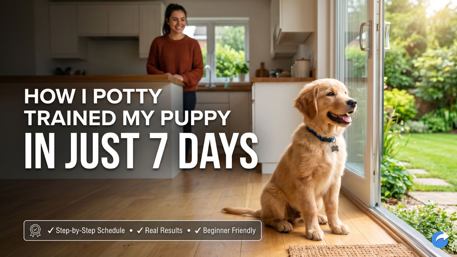 How i potty trained my puppy in 7 days