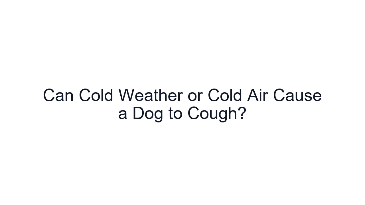Can Cold Weather or Cold Air Cause a Dog to Cough?