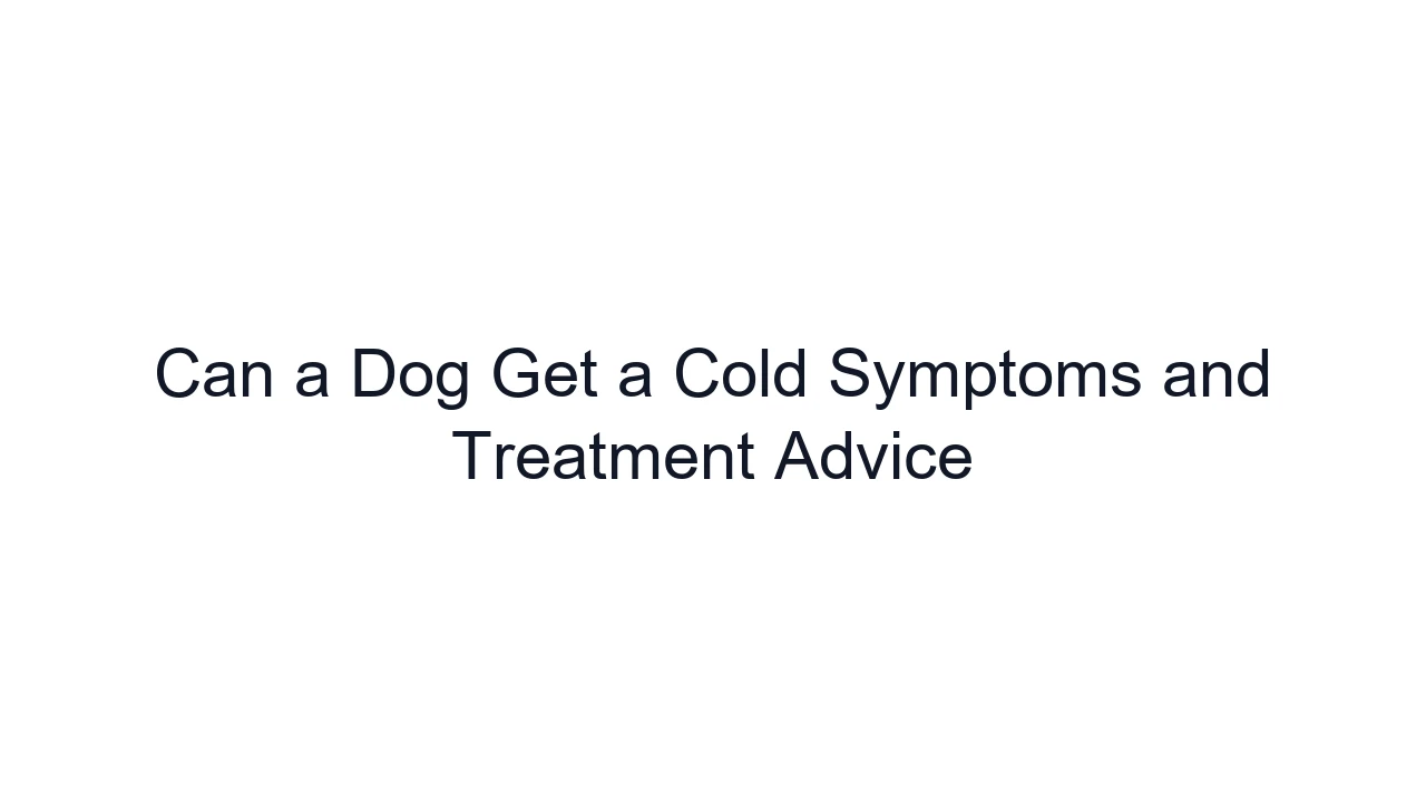 Can a Dog Get a Cold Symptoms and Treatment Advice