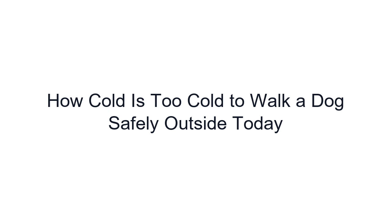 How Cold Is Too Cold to Walk a Dog Safely Outside Today