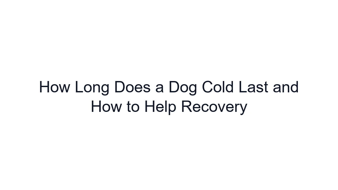 How Long Does a Dog Cold Last and How to Help Recovery