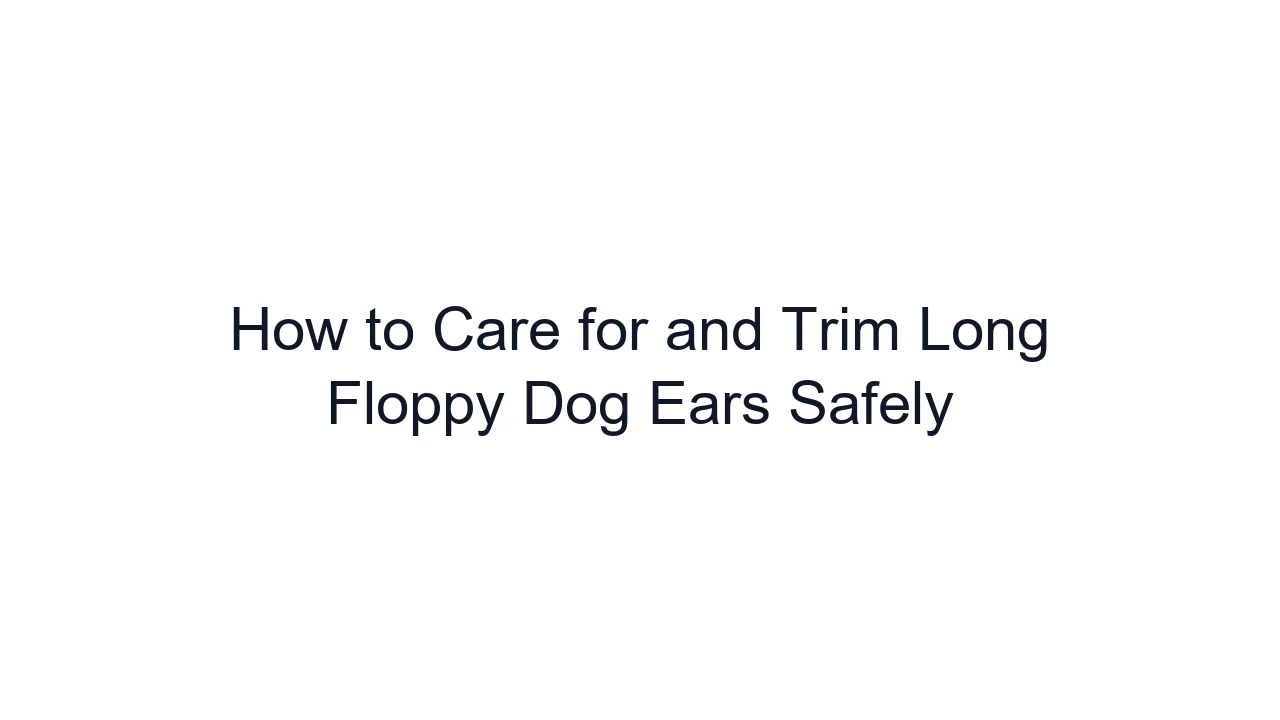 How to Care for and Trim Long Floppy Dog Ears Safely