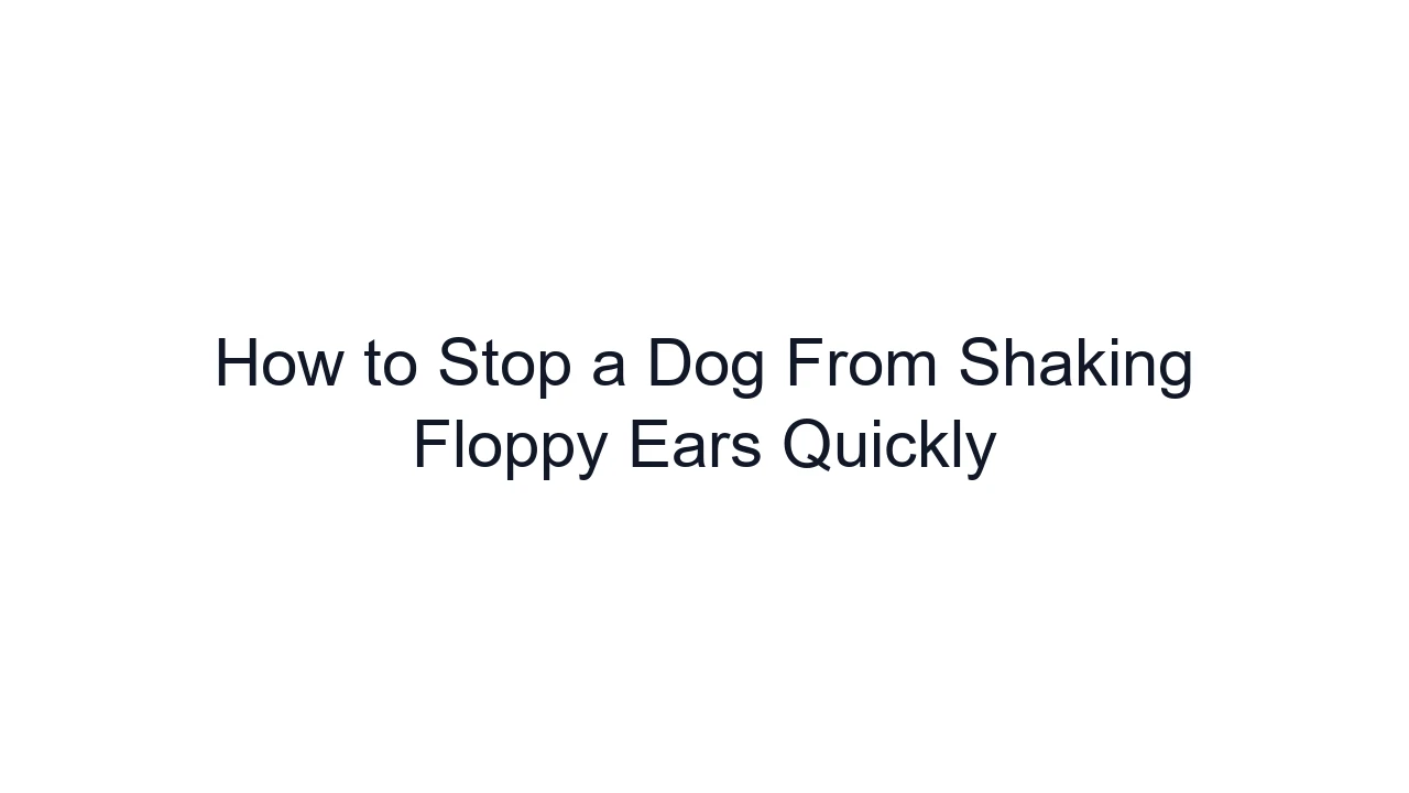 How to Stop a Dog From Shaking Floppy Ears Quickly