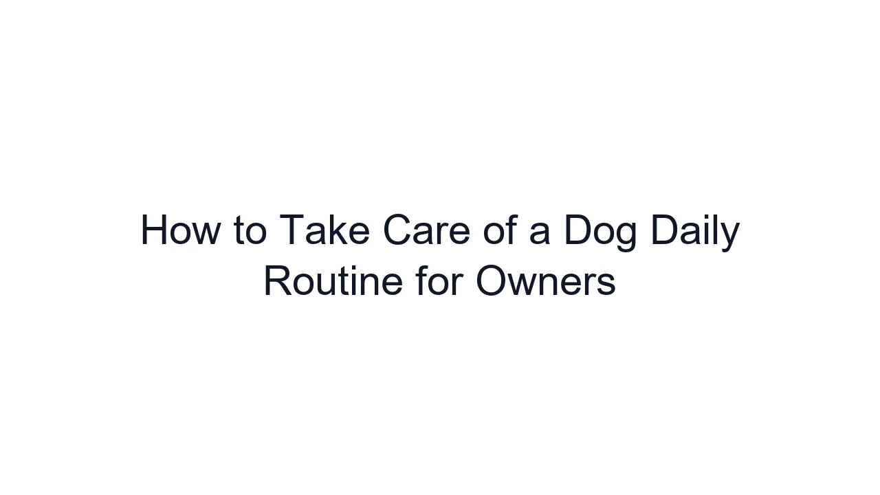 How to Take Care of a Dog Daily Routine for Owners