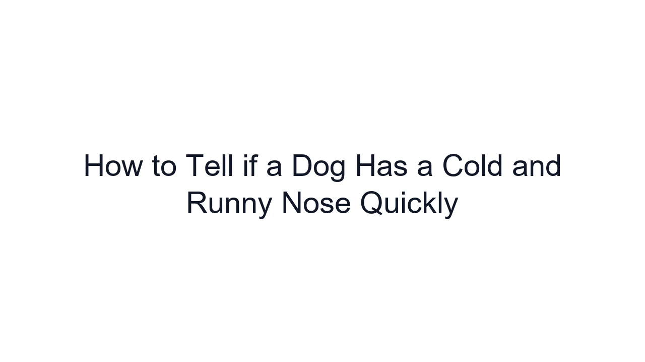 How to Tell if a Dog Has a Cold and Runny Nose Quickly