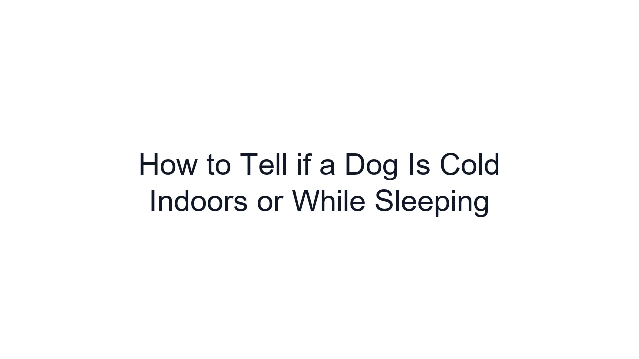 How to Tell if a Dog Is Cold Indoors or While Sleeping