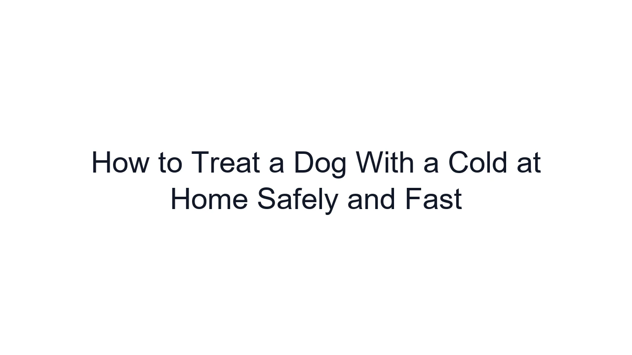 How to Treat a Dog With a Cold at Home Safely and Fast